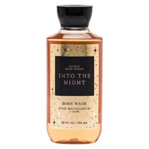 Bath & Body Works Into the Night Tube Wazsh Body Wash
