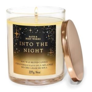 Bath & Body Works Into the Night 8OZ 1-wick Candle