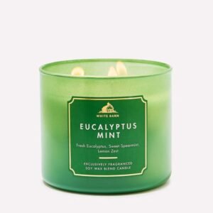 3 Wick Candle Eucalyptus Mint