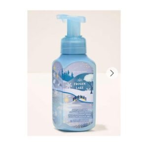 Bath & Body Works Frozen Lake Hand Soap