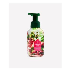 Strawberry Kiwi Hand Soap